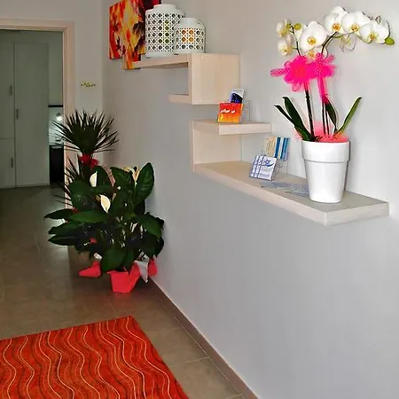 Exotic بورتو سيساريو