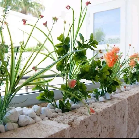 Exotic 4* Porto Cesareo