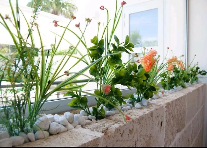 Exotic 4* פורטו צ'זראו